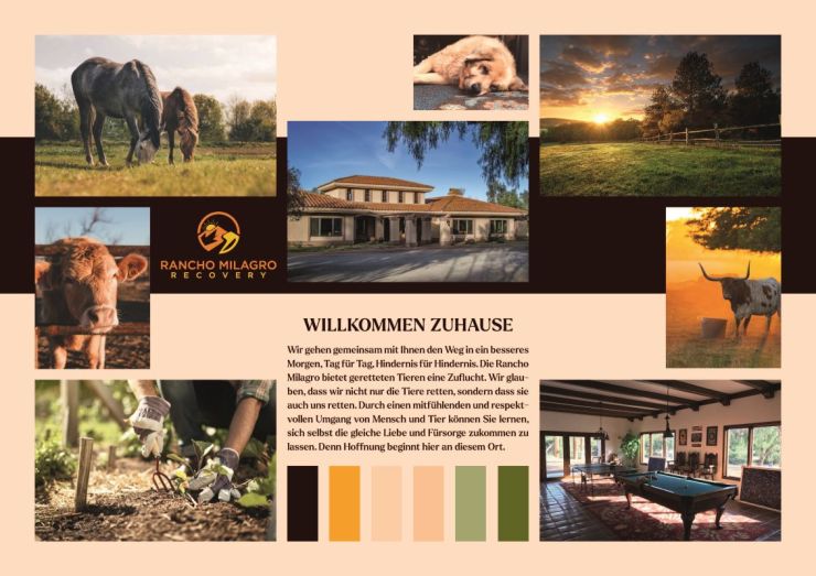 Jedes neue Design ist ein ganzheitliches&nbsp;Projekt