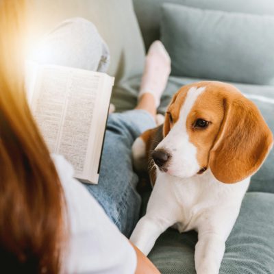Frau auf Sofa liest ein Buch, Hund schaut ihr dabei zu